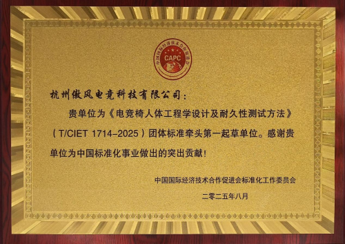 竞椅团体标准填补行业专门技术规范空白PG电子麻将胡了2试玩傲风牵头制定电(图2)